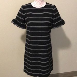Ann Taylor shift dress with ruffle sleeves